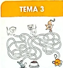 Figura 2 de Matematica · 4 EGB · 2024