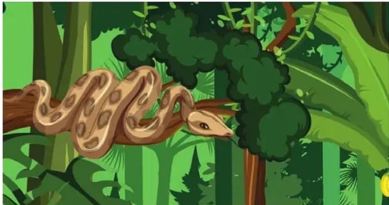 Ilustración de una serpiente enroscada en una rama dentro de la selva.