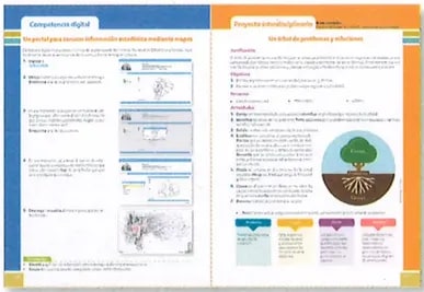 Figura 2 de Estudios Sociales · 9 EGB · 2024
