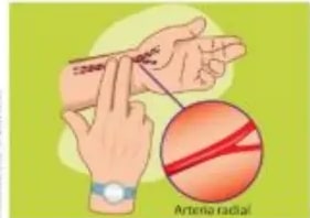 Figura 4 de Ciencias Naturales · 5 EGB · 2024