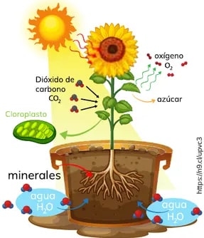 Figura 3 de Quimica · 1ro BGU · 2024