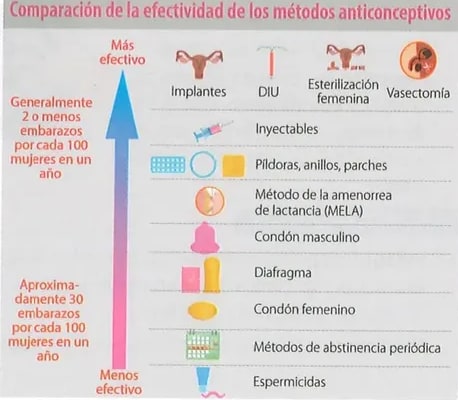 Figura 3 de Ciencias Naturales · 8 EGB · 2025