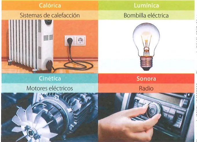 Figura 2 de Ciencias Naturales · 7 EGB · 2024