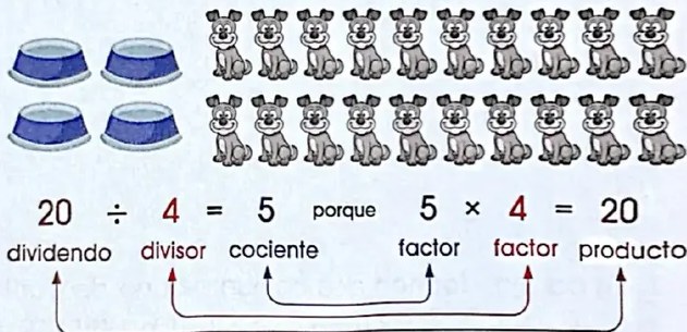 Figura 4 de Matematica · 4 EGB · 2024