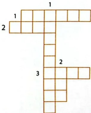 Imagen del Sol con cuatro líneas que conectan a rótulos en blanco para escribir las partes.