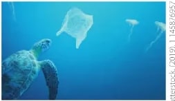Figura 2 de Ciencias Naturales · 6 EGB · 2025