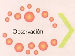 Figura 2 de Ciencias Naturales · 8 EGB · 2025