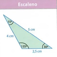 Figura 7 de Matematica · 8 EGB · 2025