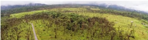 Fotografía de vista aérea de la deforestación a lo largo de un camino en las laderas amazónicas. El bosque está siendo talado para la ganadería.