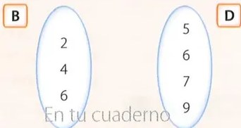 Figura 6 de Matematica · 8 EGB · 2025
