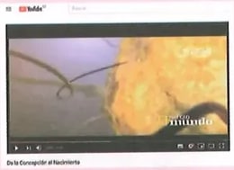 Figura 2 de Ciencias Naturales · 8 EGB · 2025