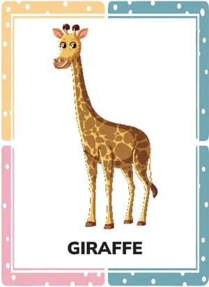 Nueve tarjetas ilustradas con animales adicionales, cada una con su nombre.