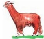 Figura 4 de Chawpin qichwata alli qillqanapaq maytu = Manual de escritura quechua central · 2020