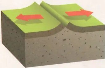 Figura 3 de Ciencias Naturales · 10 EGB · 2024
