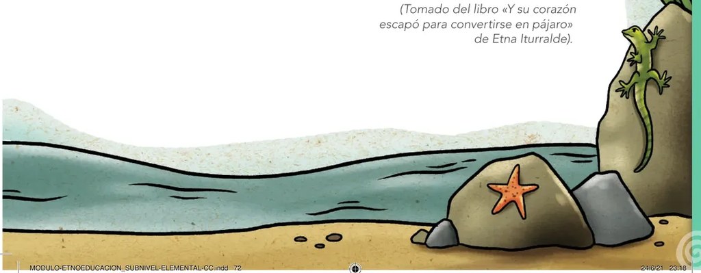 Ilustración de una playa con piedras, una estrella de mar y una iguana o lagartija verde junto a una planta acuática, evocando el espacio de la naturaleza y la libertad.