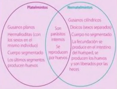 Figura 8 de Ciencias Naturales · 5 EGB · 2024