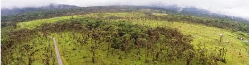 Diagrama de beneficios ambientales del bosque: reduce CO₂ e incrementa O₂.