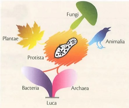 Figura 3 de Ciencias Naturales · 9 EGB · 2024