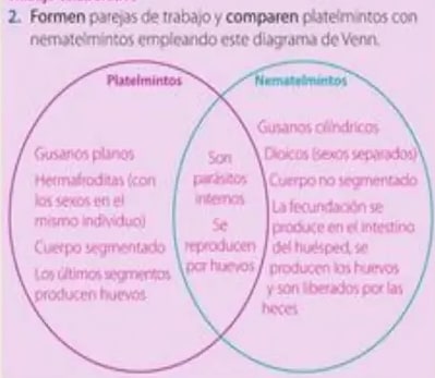 Figura 7 de Ciencias Naturales · 5 EGB · 2024