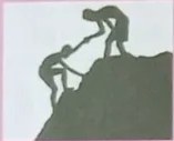 Mosaico de fotos de ecuatorianos en distintas escenas (jardines, parques, etc.).