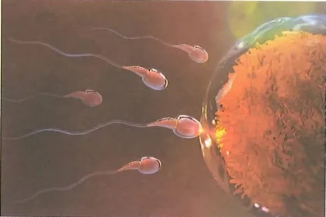Figura 1 de Ciencias Naturales · 8 EGB · 2025