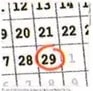 Figura 4 de Matematica · 8 EGB · 2025