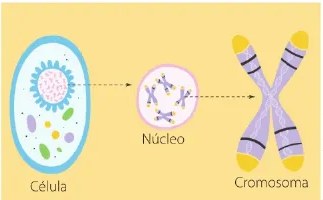 Figura 2 de Ciencias Naturales · 6 EGB · 2025