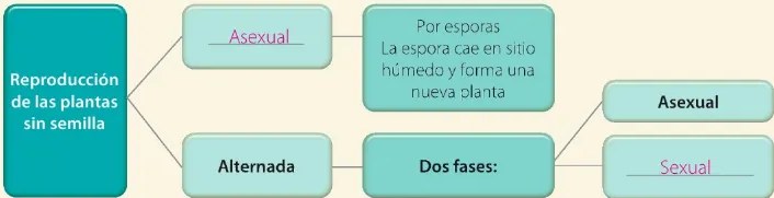 Figura 2 de Ciencias Naturales · 6 EGB · 2025