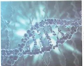 Figura 5 de Ciencias Naturales · 8 EGB · 2025