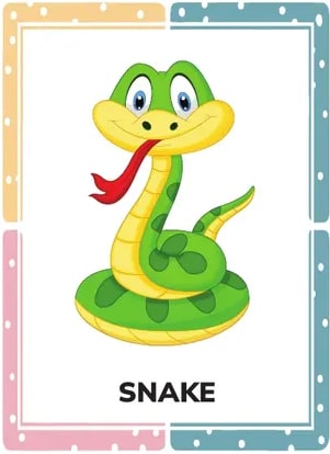 Figura 6 de Ingles · 1 EGB · 2024