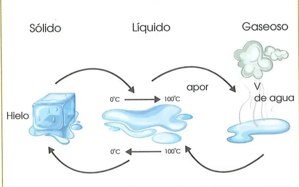 Figura 1 de Ciencias Naturales · 2 EGB · 2025