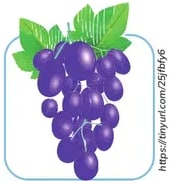 Cuadrícula 3x3 de imágenes: auto morado, perro café, árbol, caracol, camión de juguete, lápiz, libro, elefante, bicicleta naranja.