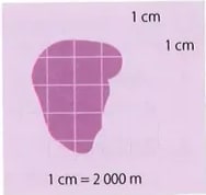 Figura 2 de Matematica · 8 EGB · 2025
