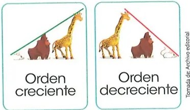 Figura 2 de Matematica · 2 EGB · 2025