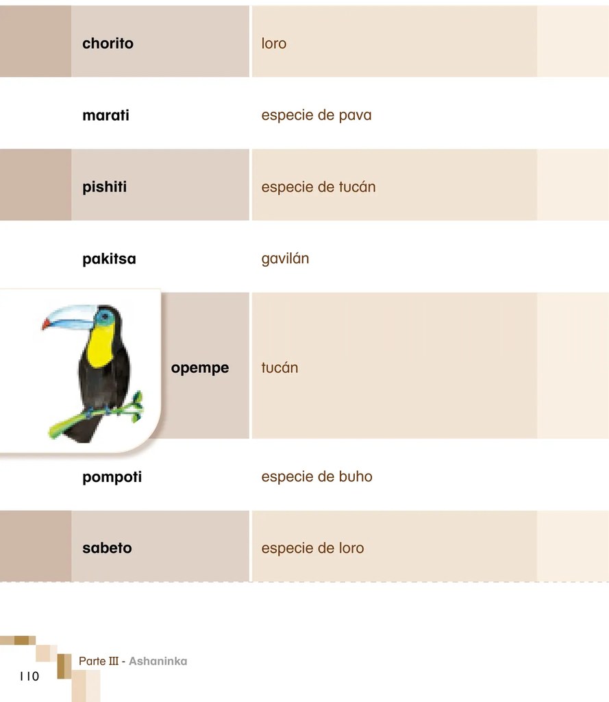 Figura 2 de Ñantsipe Ayoyetajeri Ashaninka = Vocabulario pedagógico Ashaninka · 2021