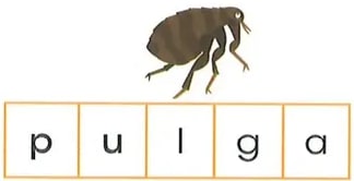 Figura 4 de Lengua Y Literatura · 2 EGB · 2025