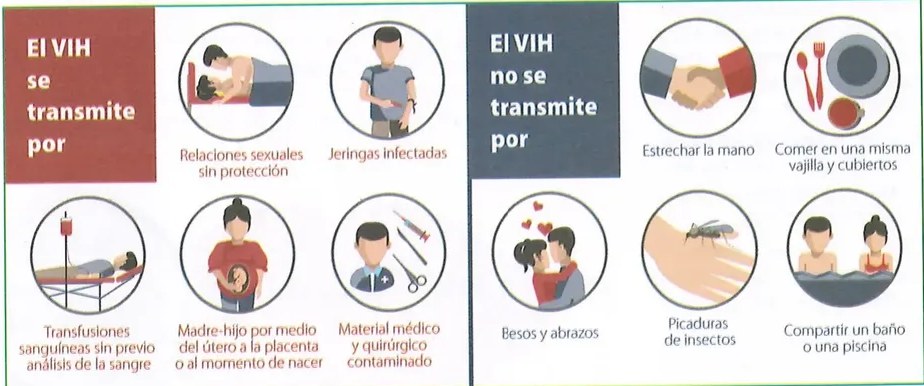 Figura 3 de Ciencias Naturales · 10 EGB · 2024
