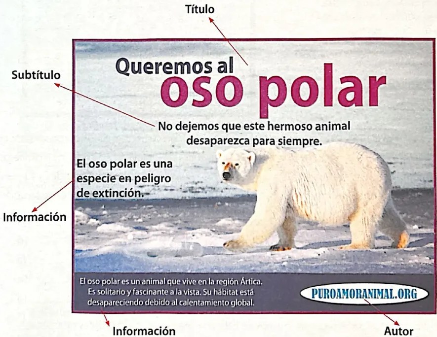 Figura 2 de Lengua Y Literatura · 4 EGB · 2024