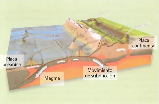 Figura 2 de Estudios Sociales · 8 EGB · 2024