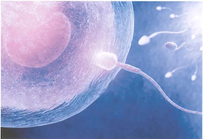Figura 3 de Ciencias Naturales · 9 EGB · 2024