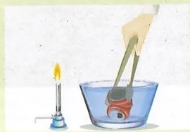 Figura 5 de Ciencias Naturales · 9 EGB · 2024