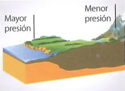 Figura 4 de Ciencias Naturales · 7 EGB · 2024