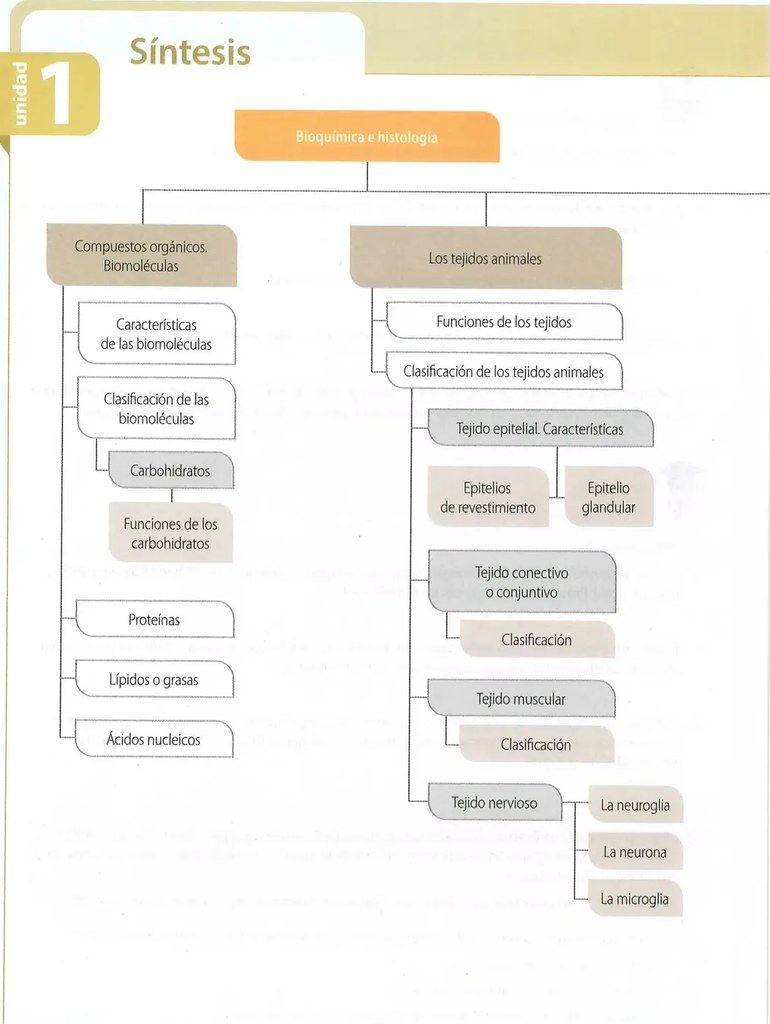 Figura 2 de Ciencias Naturales · 10 EGB · 2024