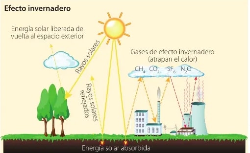 Figura 2 de Estudios Sociales · 6 EGB · 2025