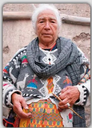 Fotografía de un gorrión (Pichiwsa / Pichitanka / Pichinku), pequeño pájaro de plumaje blanco con franjas marrón, ilustrando la última entrada de la página.