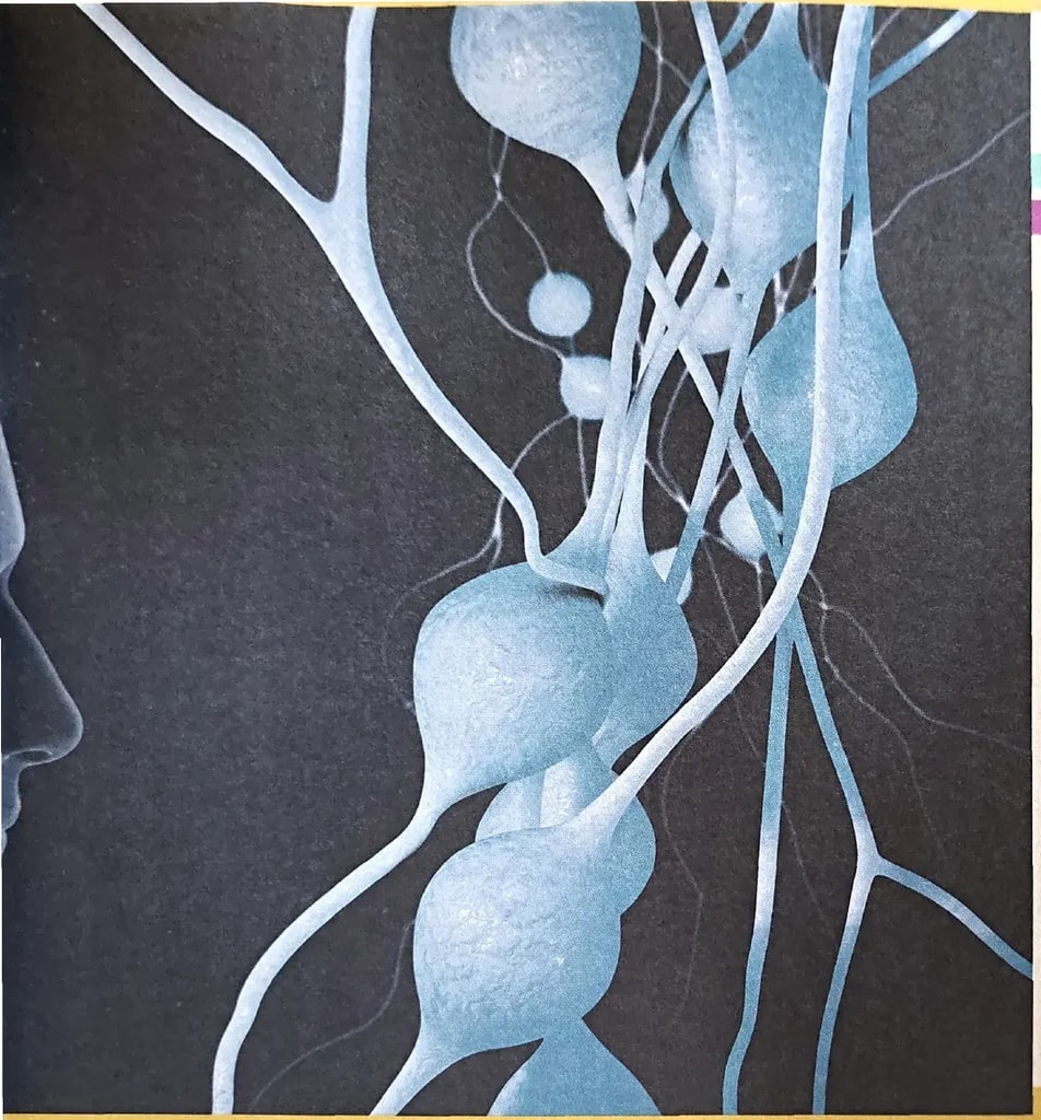 Ilustración artística de neuronas estilizadas en tonos azules sobre fondo oscuro, con conexiones sinápticas.