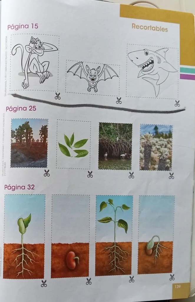 Recortable para página 15: dragón gris, murciélago marrón, tiburón gris.
