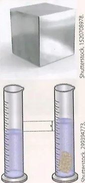 Figura 2 de Ciencias Naturales · 10 EGB · 2024