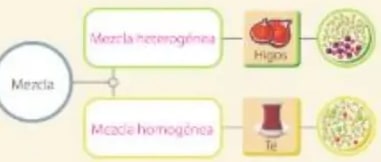 Figura 6 de Ciencias Naturales · 5 EGB · 2024