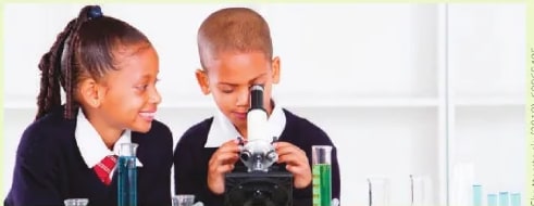 Figura 2 de Ciencias Naturales · 6 EGB · 2025